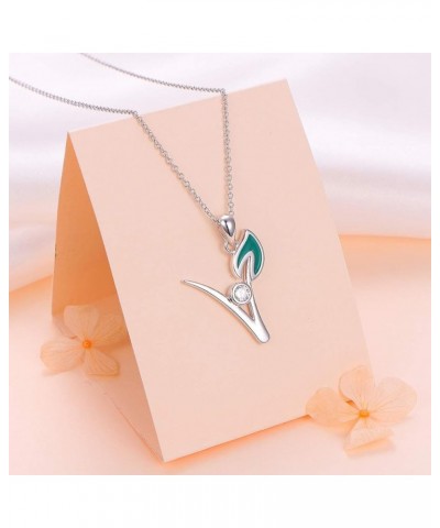 S925 Sterling Silver Vegan Necklace Cubic zirconia Green Symbol Necklace for Vegetarian Women,18 inches Style 1 $14.28 Necklaces