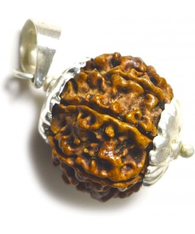 Choose Your Original Lab Certified Nepali Rudraksha 1 to 13 Mukhi Ganesha Gauri Shankar 925 Sterling Silver Pendant Astrology...