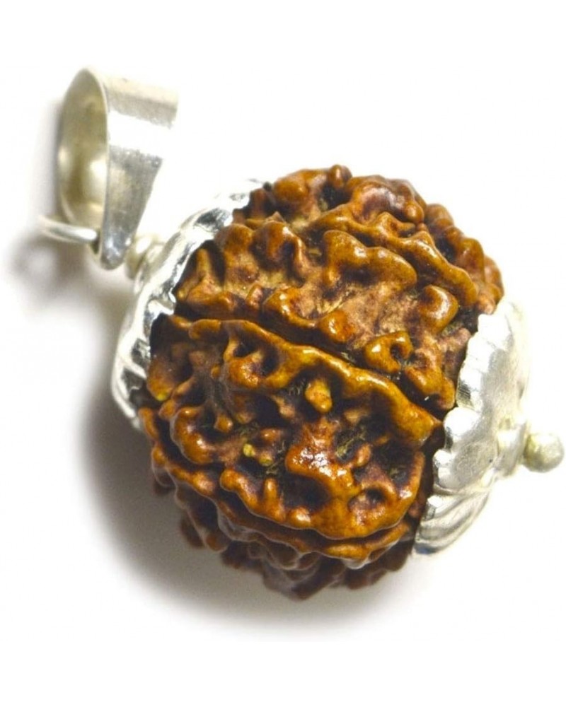 Choose Your Original Lab Certified Nepali Rudraksha 1 to 13 Mukhi Ganesha Gauri Shankar 925 Sterling Silver Pendant Astrology...