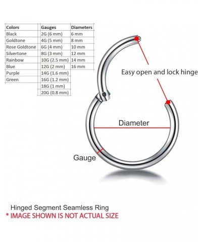 Segment Clicker Ring |Nose Septum Lip Tragus Ear Lobe Eyebrow Piercing | 4G 2G 0G 00G 2G 4G 6G 8G 10G 12G 14G 16G 18G 20G | 3...