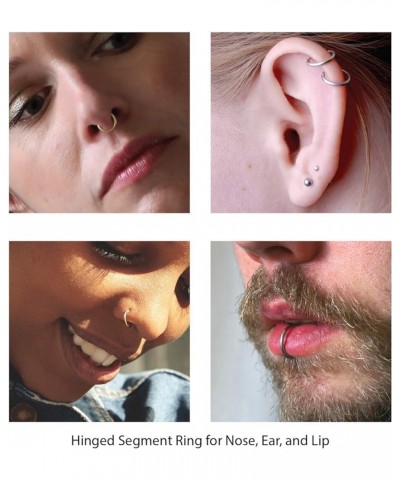 Segment Clicker Ring |Nose Septum Lip Tragus Ear Lobe Eyebrow Piercing | 4G 2G 0G 00G 2G 4G 6G 8G 10G 12G 14G 16G 18G 20G | 3...