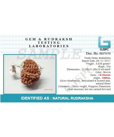 Nepali Rudraksha Silver 925 Pendant 13 Mukhi Nepali Rudraksha $58.80 Pendants