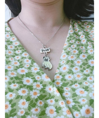 Best Friend Necklaces,Lovely Dog Pendant Friendship Set Metal Necklace for Valentine's Day Present Birthday Christmas Pug $7....