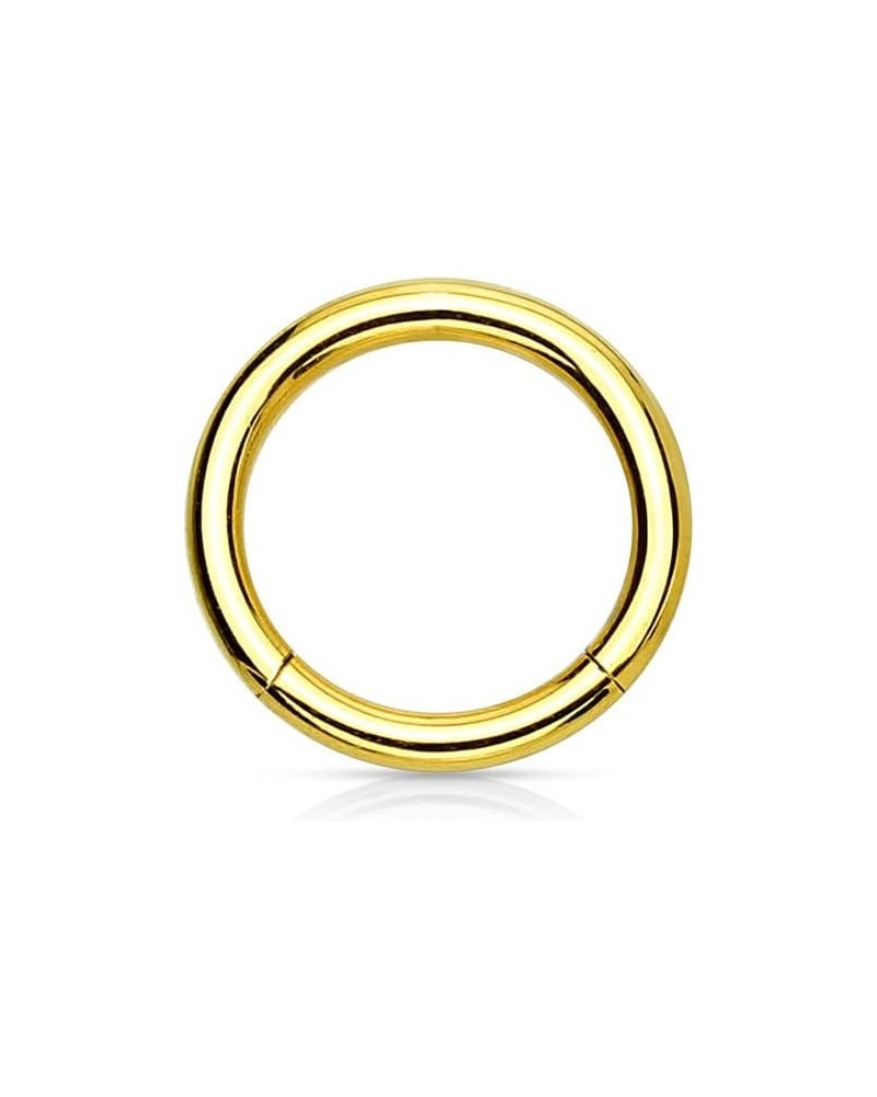 316L Surgical Steel Hinged Seamless Nose Rings Hoop 14G 16G 18G, Diameter 6mm 8mm 10mm 12mm, Gold/Rose Gold/Silver/Black/Rain...