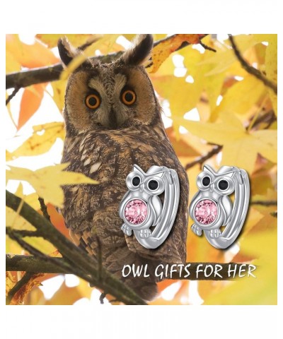 Sterling Silver Owl Hoop Earrings, Owl Jewelry Gifts for Women Daughter Pink $10.79 Earrings