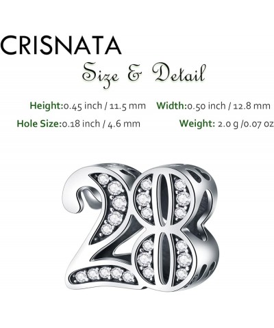 5,10 to 50 52 55 56 60 65 70 75 80 Birthday Charms fits European Anniversary Bracelets, 925 Sterling Silver Number Charms wit...