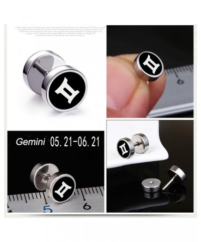 Earrings Studs Cute, Modern Earrings Zodiac Sign Stainless Steel Jewelry Sets for Women Gemini $11.78 Earrings