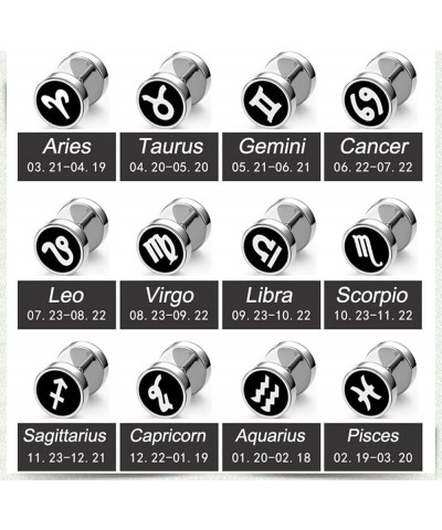 Earrings Studs Cute, Modern Earrings Zodiac Sign Stainless Steel Jewelry Sets for Women Gemini $11.78 Earrings