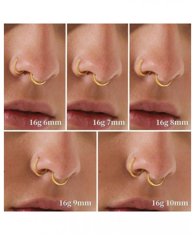 4pcs Nose Rings Hoops - 316L Surgical Steel Hypoallergenic Hoop Nose Rings for Women, 16G/18G/20G Hinged Clicker Septum Rings...