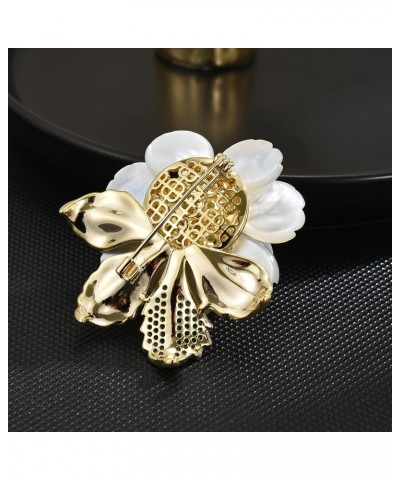 Luxury Brooches Jewelry for Women Fashion Lapel Pins for Women Elegant Costume Corsage Pearl Brooches & Pins Christmas Gift (...