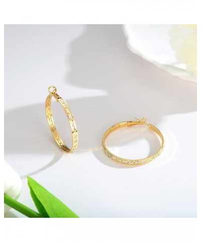 Gold Hoop Earrings for Women Gold Plated Hoop Earrings Lightweight Gold Huggie Hoop Earrings Hypoallergenic Clasp Earrings Go...