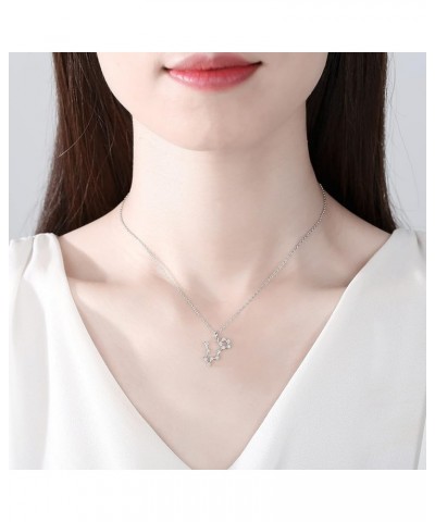 925 Sterling Silver Astrology Constellation Horoscope Zodiac Star Sign Pendant Necklace for Women Pisces $14.78 Necklaces