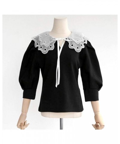 Detachable Collar for Women,Fake Collar Lace Shawl Capelet Embroidery Layered Sheer Mesh Collar Clothing Accessories H $4.67 ...